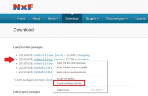 Tutorial instalacao nxfilter - download