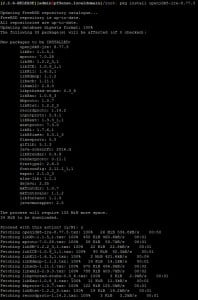 Tutorial instalacao nxfilter - pkg install