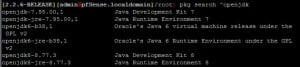 Tutorial instalacao nxfilter - pkg search